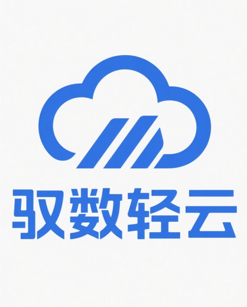驭数轻云数字解决方案服务商