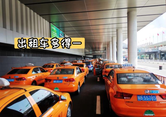 冬天去哪都是挨冻，不如来海南体验夏天！